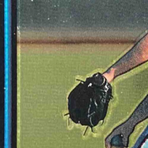 Bobby Basham 2003 Bowman Chrome Autograph RC Auto #343 Reds - Image 3 of 4