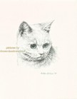 #231 short hair White Cat * cat art print * pen & ink drawing by Jan Jellins