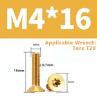 Bild 37 von 99