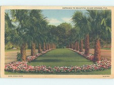 Linen SILVER SPRINGS SCENE Ocala Florida FL f/01 AF9943 Linen SILVER SPRINGS SCENE Ocala Florida FL f/01 AF9943