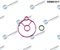 Dr.Motor Automotive DRM01817 Dichtungssatz, ÖLküHler For CitroËN DS Fiat Ford FO
