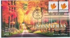 25-157, 2025, Vibrant Leaves, Standard Postmark, First Day Cover, Postcard Rate,