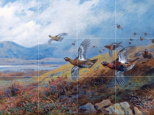 Driven Grouse Birds Tile Mural Kitchen Bathroom Wall Backsplash Marble Ceramic - 第 7/19 張圖片