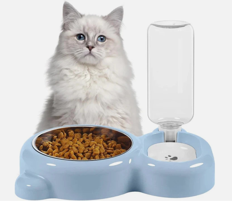 And Water Bowl Set With Water Dispenser And Stainless