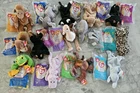 Vintage Beanie Babies AND Their Matching Teenie Beanie Baby Lot of 28!