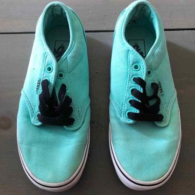 vans atwood low top sneaker