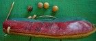 Thick Leather Marble Bag 29c w 4 Antique Clay Marbles Maroon Metal Blue Black VG — photo 4