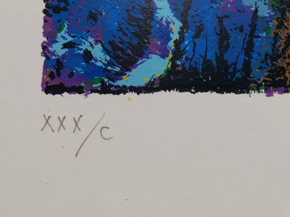 GIANNI DOVA: Rara Serigrafia cm. 100x70, Firmata, Numerata, Timbro. STUPENDA!!! - Immagine 4 di 4