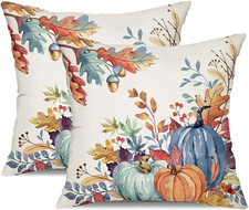 DFXSZ Fall Pillow Covers 18X18 Inch Set of 2 Blue and Green Watercolor Pumpkin F