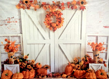 KATE Backdrop Fall Pumpkins Rustic White Family Photography Photoshoot 8' x 10'