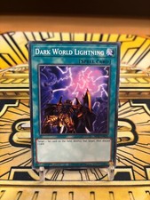 Yugioh Blitzgewitter der Finsteren Welt SR13-EN030 Common