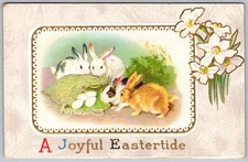 Antique Postcard Easter Rabbits and Eggs Somerset, ME 1910s