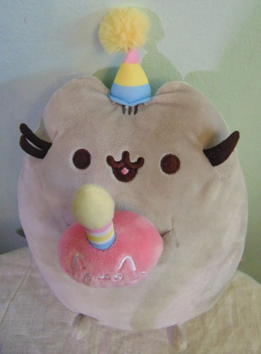 Birthday top pusheen plush