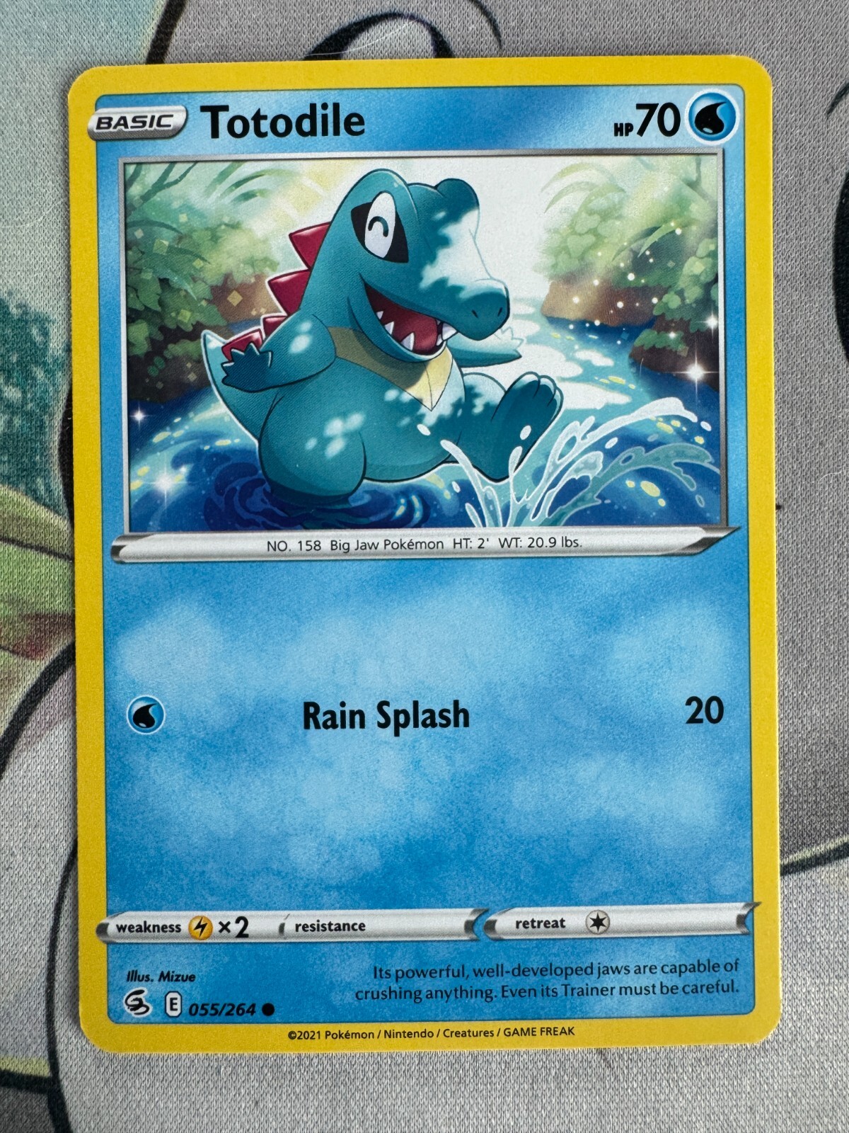 Totodile Non-Holo English Pokemon TCG BKCB70