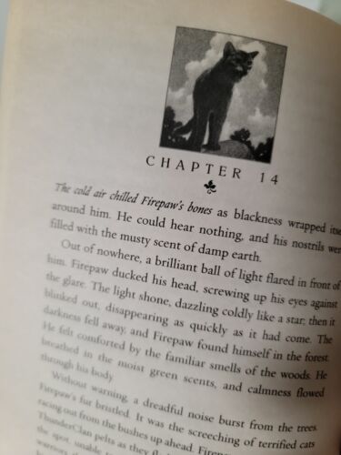 Into the Wild (Warrior Cats) - Hunter, Erin: 9780007233618 - AbeBooks