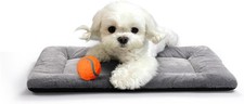 Dog Beds Crate pad for Extral Small Fit Metal, 22.0"L x 13.0"W x 1.0"Th, gray