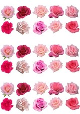 Cake Toppers 30 Mixed Pink Roses Rose Flower Edible Wafer Paper Decorations