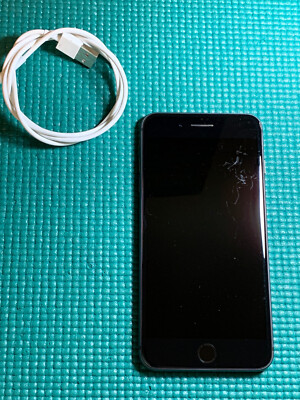 Apple iPhone Plus 64GB Space Gray unlocked A1897 (GSM)