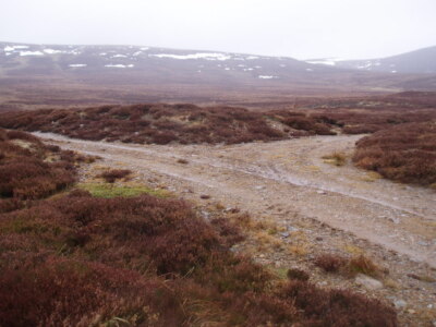Photo 6x4 Track Junction Foregin The left branch ends in a short distance c2009