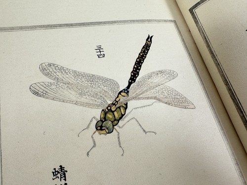 Japanese Woodblock Print Book “Hyakuchu-shiga” Poem and illustration for insect - Picture 16 of 24