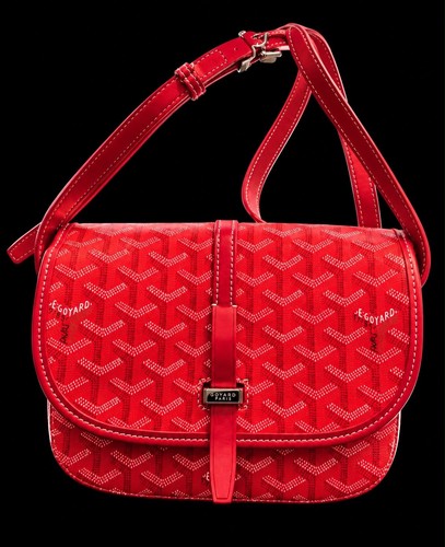 Pre Owned Goyard Great Condition