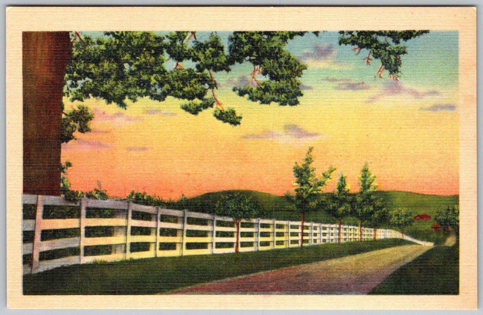 Vtg Linen Postcard White Picket Fence Road 1930s