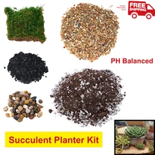 Succulent Planter Kit – Premium Soil, Charcoal, Moss & Gravel for Healthy Plants