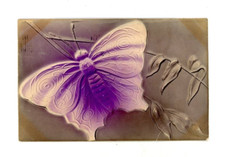 1908 Postcard Purple Butterfly Embossed Insect