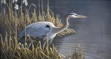 Ceramic Backsplash Tile Mural Waterfowl Bird - Stalking the Edge Heron