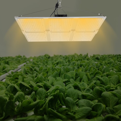 600w LED Grow Lights Panel Sunlike Full Spectrum For Indoor Plants ...