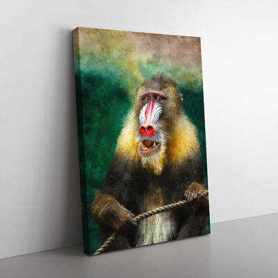 Mandrill Baboon Monkey Canvas Wall Art Print Framed Picture Decor Living Room