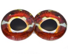 Pair Striped Triplefin Fish Glass Eyes Jewelry Doll Taxidermy Flatback Cabochons