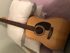 Godin Norman B20 Hg Acoustic Guitar