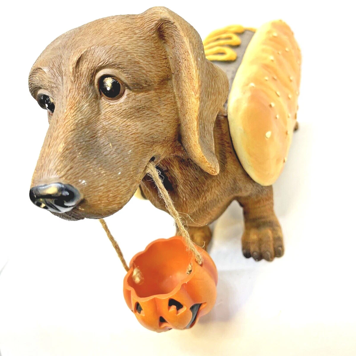 Best dressed dachshund top