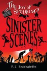 Sinister Scenes by P J Bracegirdle (Hardback, 2011)