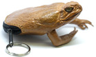 Genuine Leather Purse Exotic Taxidermy Cane Toad Frog Wallet Key Purse Novelty