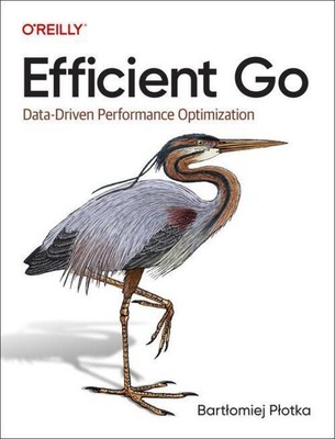 Bartlomiej Plotka | Efficient Go | Taschenbuch | Englisch (2022)