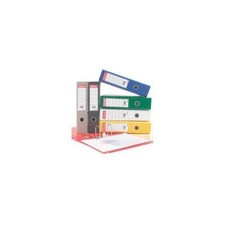 Image of 48060 Esselte Lever Arch File Polypropylene A4 75mm White , 10 Pack