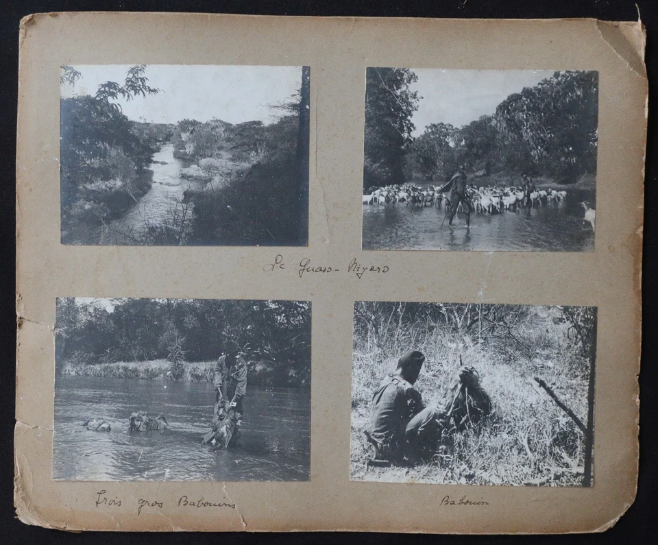 AFRIQUE 1911 Album 70 photo SAFARI Kenya Maxime de Bary Goetvinck - Photo 4/4