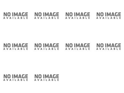 Icon Variant Pro Shields