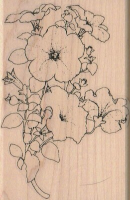 Hibiscus Galore 3 x 4 1/2'' Rubber Stamp, Hibiscus Stamp