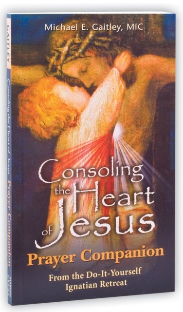 Consoling the Heart of Jesus - Prayer Companio by Fr Michael E Gaitley PAPERBACK