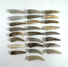 25 - 2" DRILLED DEER ELK ANTLER TINE TIPS ARTS CRAFTS JEWELRY TOGGLES - Bag 1875