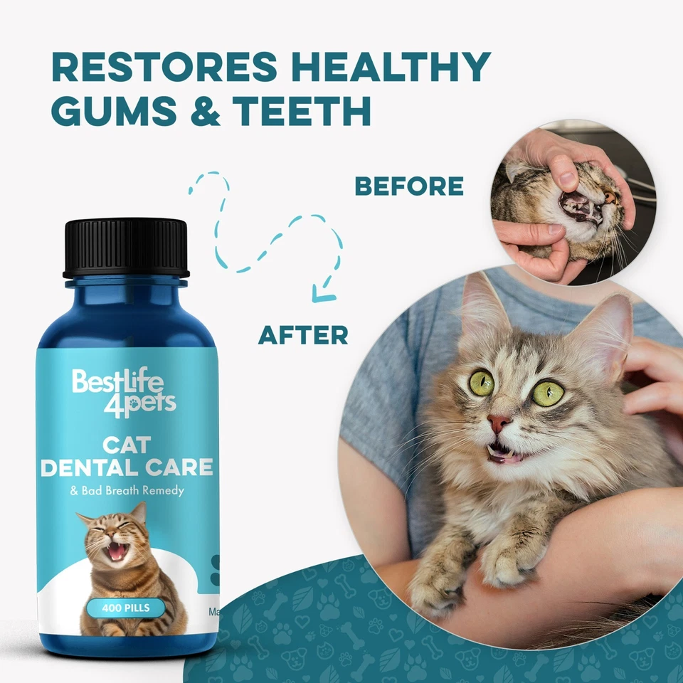 Remedio dental para el cuidado y el mal aliento para gatos Foto 4 de 4