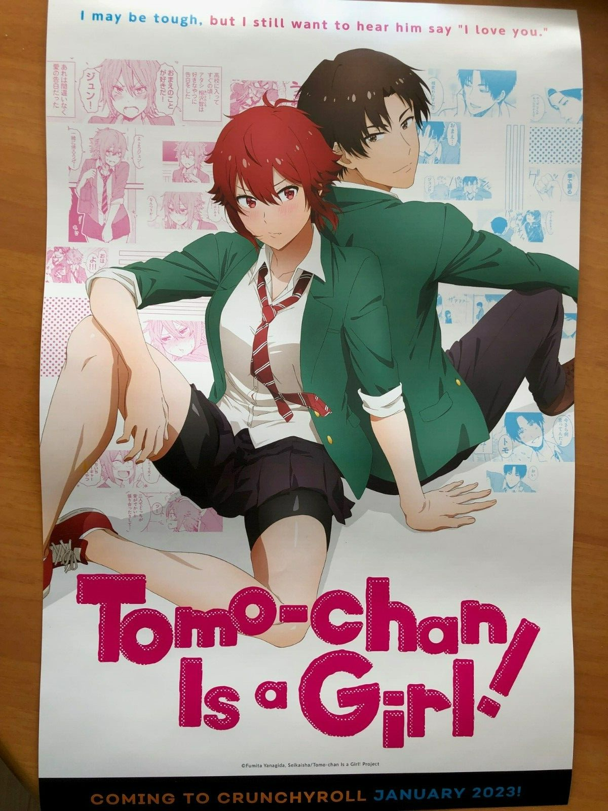 Tomo-chan is a Girl! Manga Gets Anime in January 2023