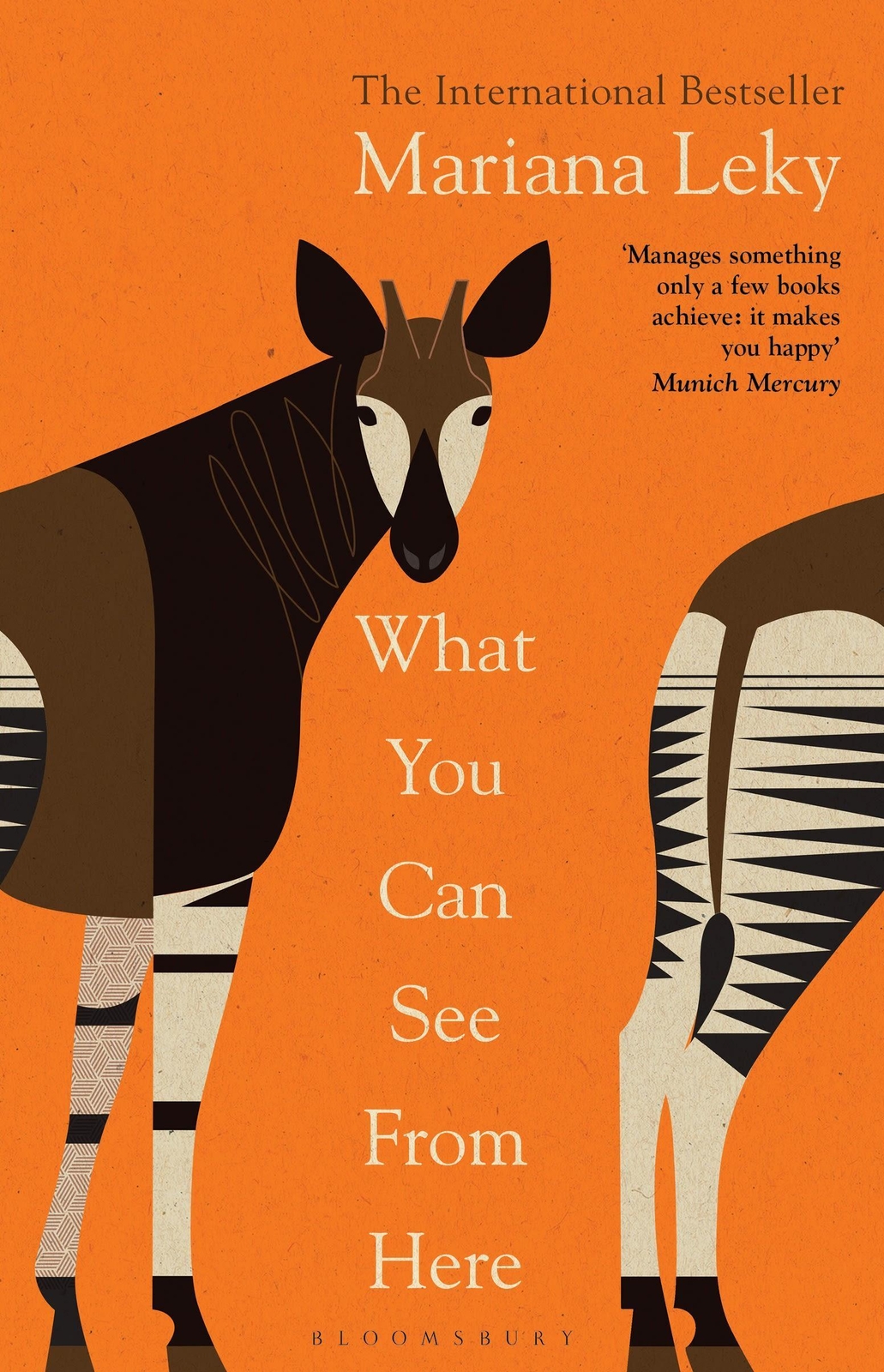 Thumbnail - Mariana Leky / What You Can See From Here / 9781526638540