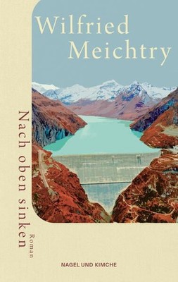 Nach oben sinken: Roman | Der Top-10-Bestseller aus der Schweiz | Poetisch, witz
