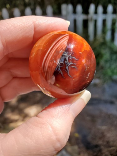 Video Cornalina Ágata Esfera Pequeño Orbe Bola Roja Cristal Cuarzo Madera Soporte Lote - Imagen 4 de 10
