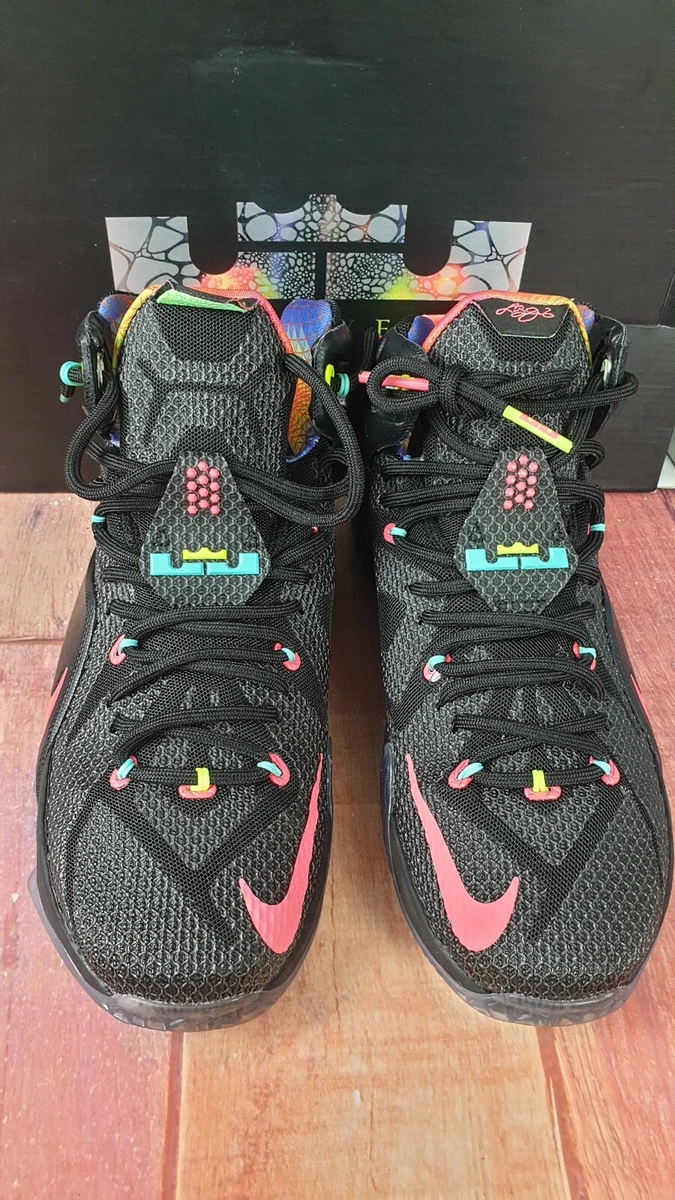 NIKE LEBRON XII Data Elite Series Size UK 7 US 8 EUR 41