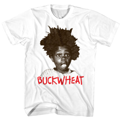 希少レア 80s Our Gang Tシャツ buckwheat vintage s-l1200.png